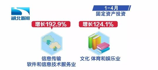 湖北1-4月經濟運行數據出爐 軟件和信息技術服務業展現強勁動能